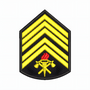 Divisa BM 1° Sargento/par