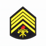 Divisa BM 2° Sargento/par