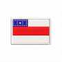 Bandeira Amazonas