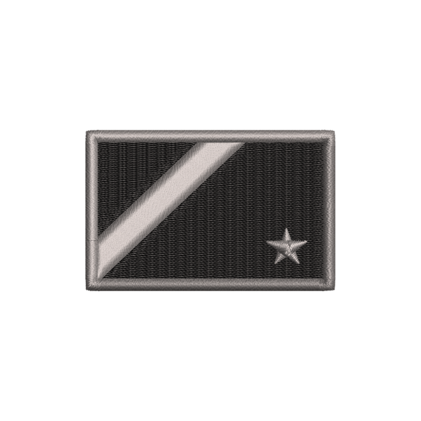 Bandeira Mato Grosso do Sul