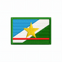 Bandeira Roraima